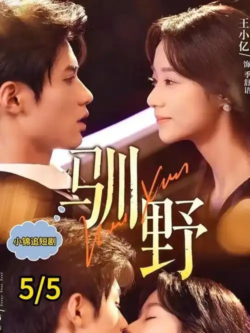 风暴眼谍战年代剧全集手机在线观看
